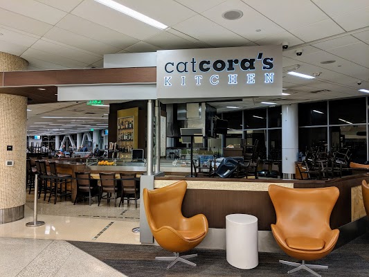 cat-coras-kitchen