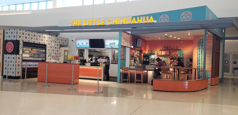 the-little-chihuahua