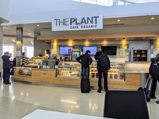 the-plant-cafe-organic